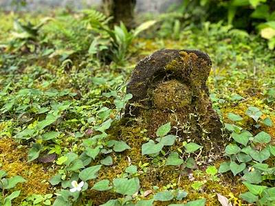 綾部市東光院のわらべ地蔵