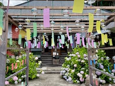 東光院の風鈴祭り