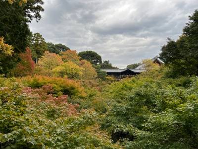 2022年10月31日の東福寺通天橋