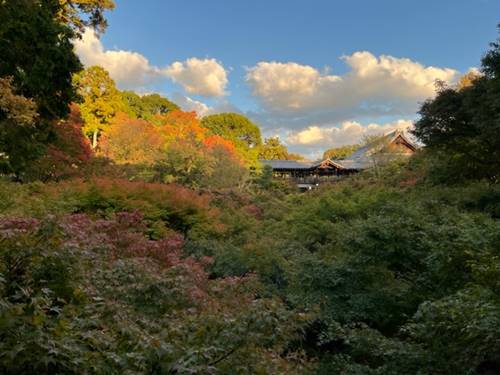 東福寺通天橋の紅葉2022.11.2