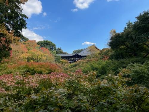 東福寺の紅葉2022.11.3