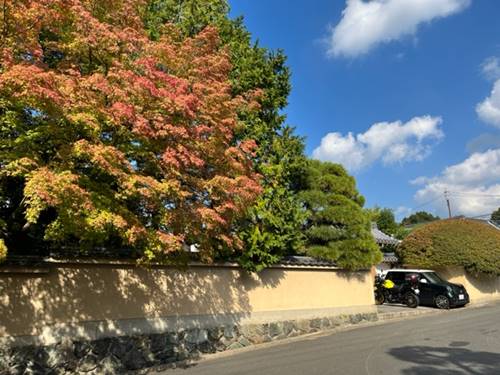 東福寺龍眠庵の紅葉2022年11月3日