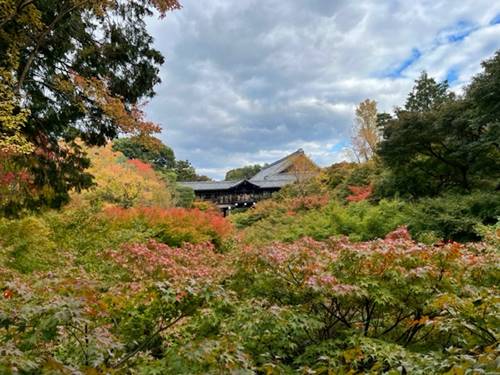 東福寺の紅葉2022.11.5