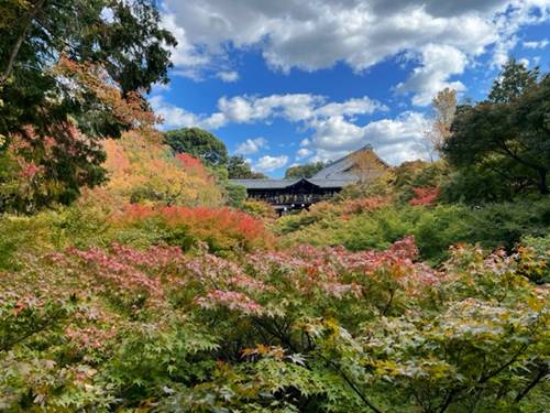 東福寺の紅葉2022.11.6