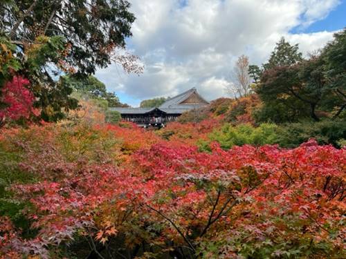 東福寺の紅葉2022.11.14