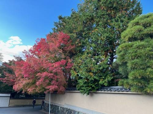 東福寺龍眠庵